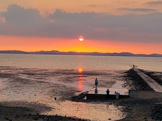 세종키다리님의 12월 내 작물 자랑하기 · 참여글 작성글 사진
