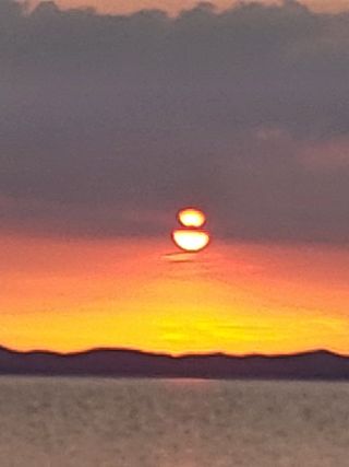 세종키다리님의 12월 내 작물 자랑하기 · 참여글 작성글 사진