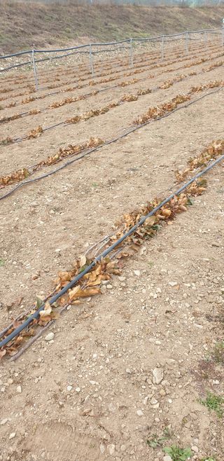 김화순님의 자유주제 · 자유게시판 작성글 사진