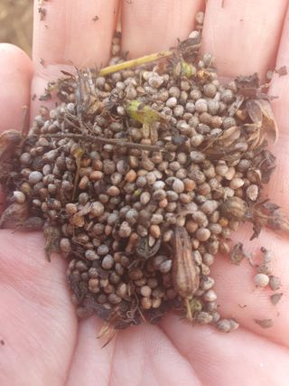 두딸맘님의 작성글 사진