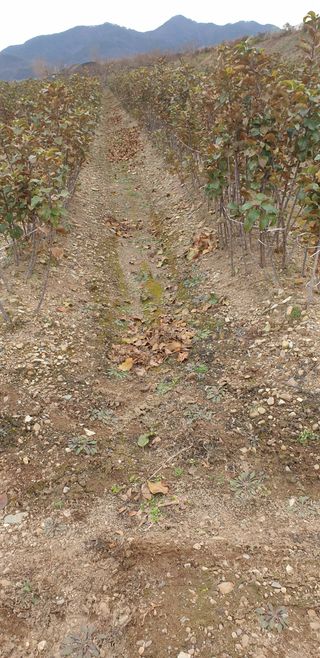 김화순님의 자유주제 · 자유게시판 작성글 사진