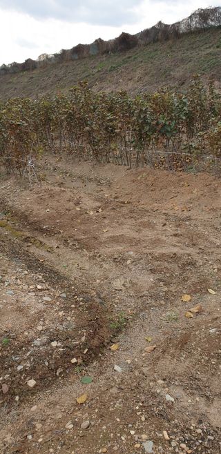 김화순님의 자유주제 · 자유게시판 작성글 사진