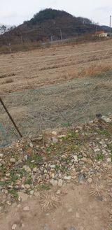 팜모닝 자유주제·자유게시판 게시글 이미지