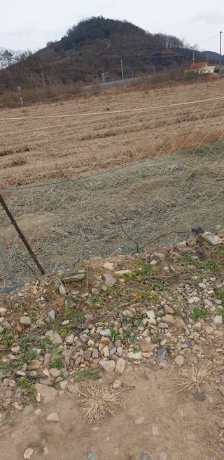 김화순님의 자유주제 · 자유게시판 작성글 사진