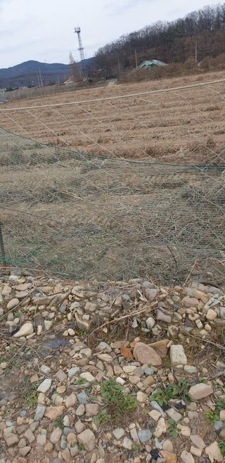 김화순님의 자유주제 · 자유게시판 작성글 사진