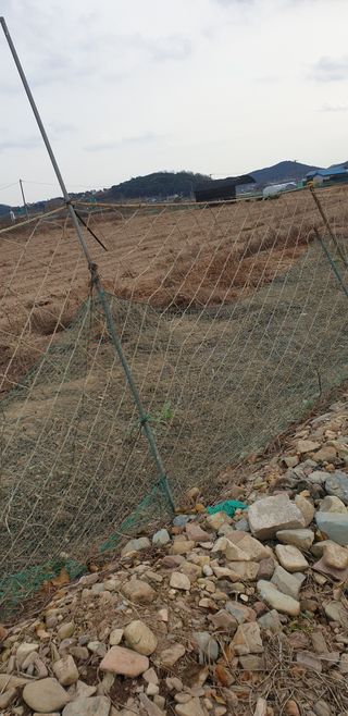 김화순님의 자유주제 · 자유게시판 작성글 사진