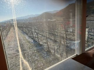 알 수 없음님의 자유주제 · 자유게시판 작성글 사진