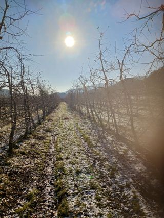 알 수 없음님의 자유주제 · 사진전 작성글 사진