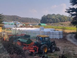 정영기대산축산농부♡님의 벼 · 자유게시판 작성글 사진
