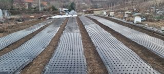 오두세님의 12월 내 작물 자랑하기 · 참여글 작성글 사진