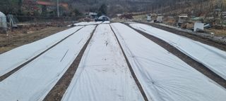 오두세님의 12월 내 작물 자랑하기 · 참여글 작성글 사진