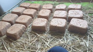 박용현 님의 12월 내 작물 자랑하기 · 참여글 작성글 사진