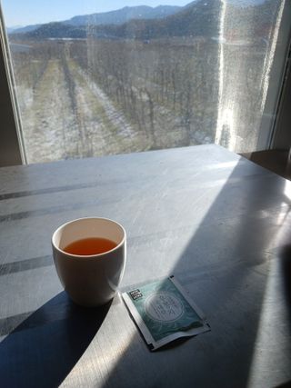 알 수 없음님의 자유주제 · 자유게시판 작성글 사진