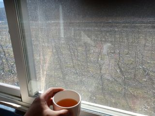 알 수 없음님의 자유주제 · 자유게시판 작성글 사진