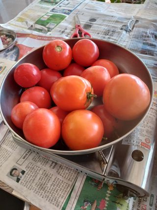 알 수 없음님의 우리동네 · 동네수다 작성글 사진