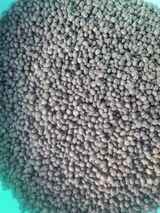 팜모닝 · 게시글 이미지