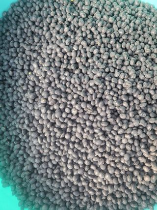 멋진동네님의 작성글 사진