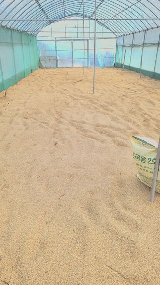 이동걸님의 12월 내 작물 자랑하기 · 참여글 작성글 사진