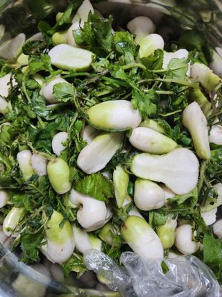 고영희님의 12월 내 작물 자랑하기 · 참여글 작성글 사진