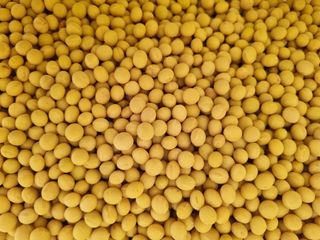 자두1925님의 작성글 사진