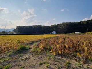 자두1925님의 작성글 사진