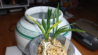 권세민님의 12월 내 작물 자랑하기 · 참여글 작성글 사진