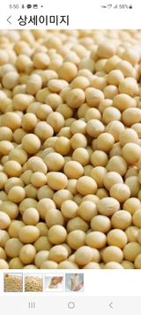 팜모닝 · 게시글 이미지