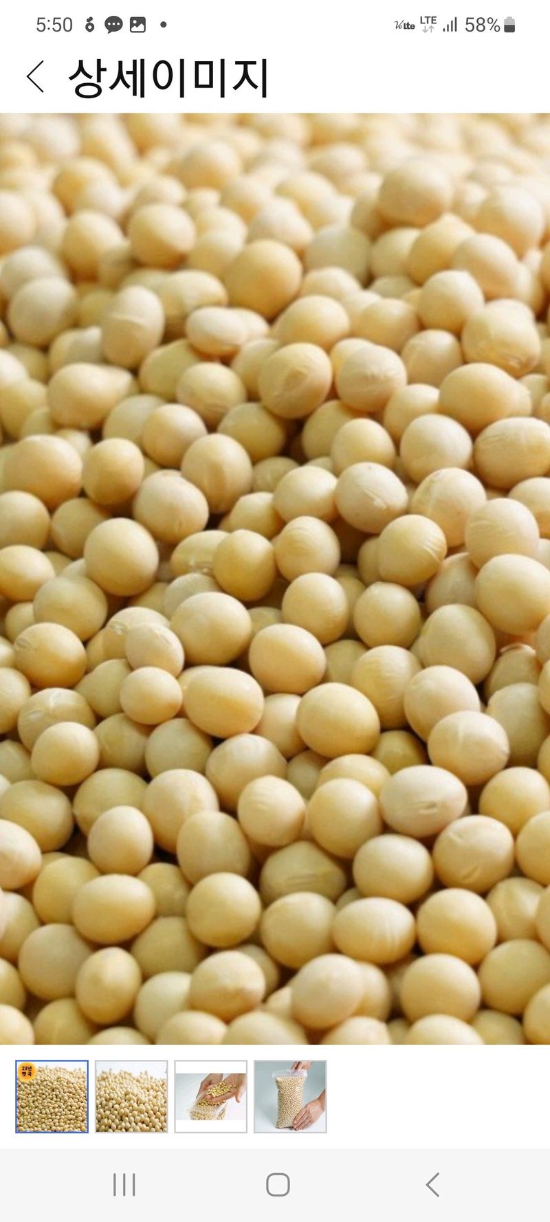 신동익님의 장터 판매 상품 [대원콩 메주콩] 첨부 사진