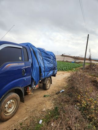 김저팔계님의 배추 · 영농일지 작성글 사진