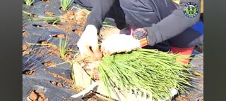 여우내 이순홍님의 농자재정보 · 삽니다 작성글 사진