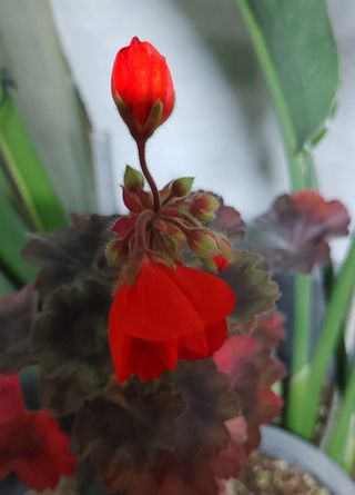 달맛햇복숭아농원님의 자유주제 · 사진전 작성글 사진