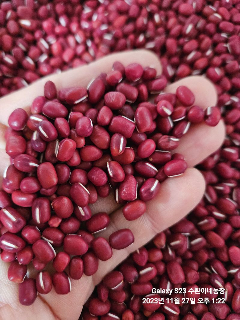 장터 상품 [[판매완료]팥(적두)] 썸네일