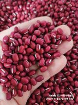 팜모닝 · 게시글 이미지