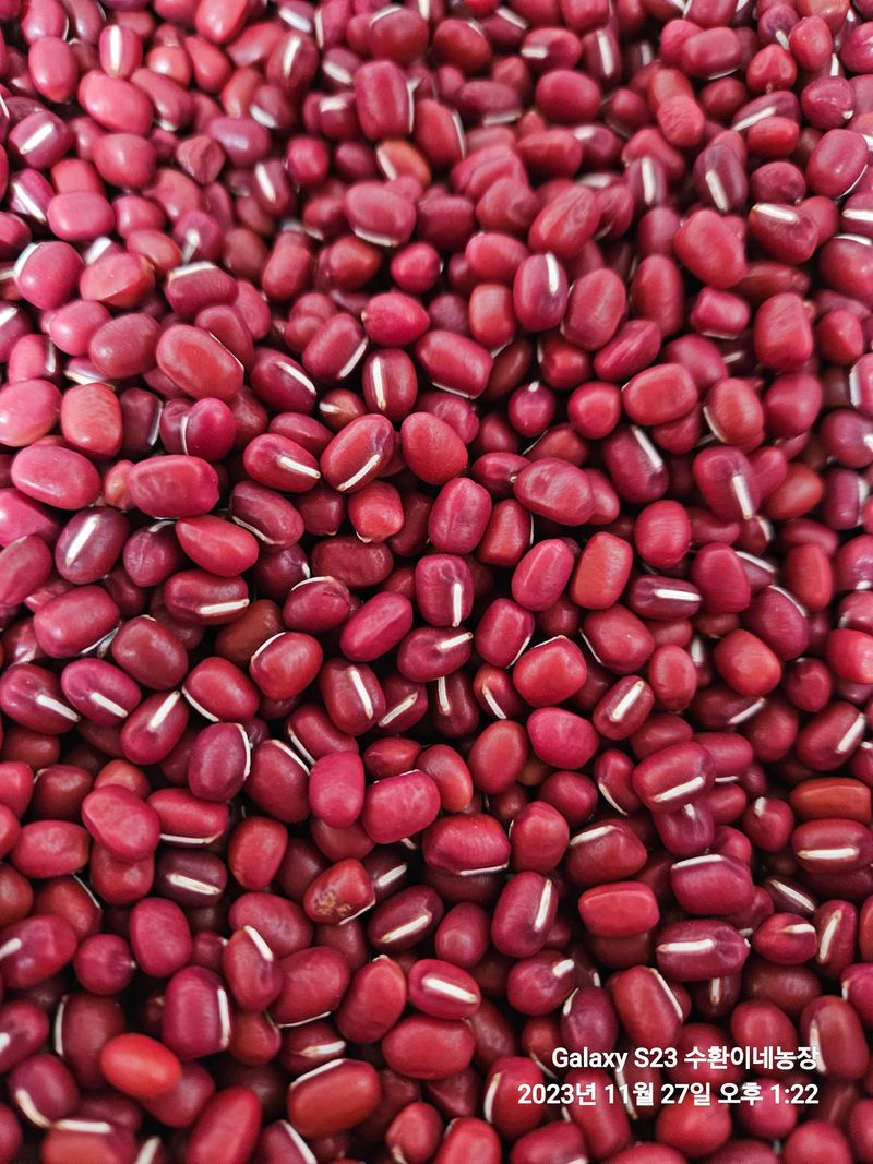 수환이네농장님의 장터 판매 상품 [[판매완료]팥(적두)] 첨부 사진