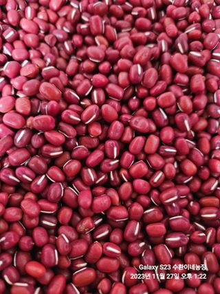 수환이네농장님의 작성글 사진