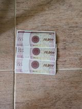 팜모닝 자유주제·자유게시판 게시글 이미지