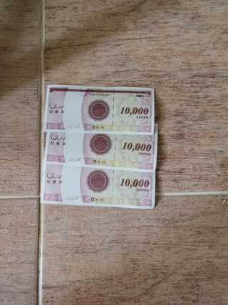 장미부인님의 자유주제 · 자유게시판 작성글 사진