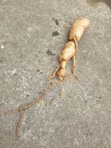 팜모닝 기타작물·자유게시판 게시글 이미지