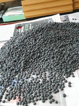 임종옥(용인백암)님의 콩 · 자유게시판 작성글 사진