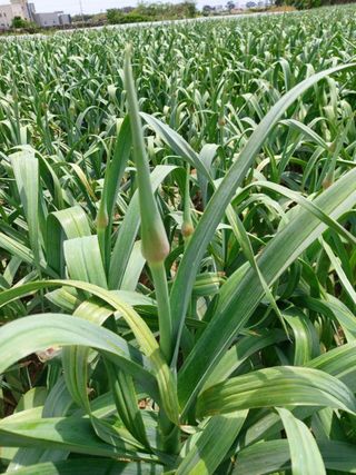 정상훈님의 기타작물 · 자유게시판 작성글 사진