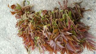 정상훈님의 기타작물 · 자유게시판 작성글 사진