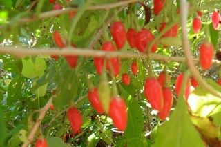 정상훈님의 기타작물 · 자유게시판 작성글 사진