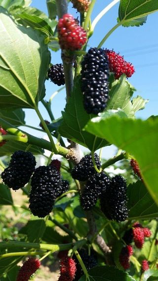 정상훈님의 기타작물 · 자유게시판 작성글 사진