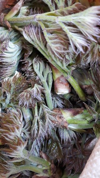 정상훈님의 기타작물 · 자유게시판 작성글 사진