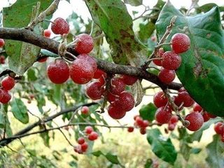 정상훈님의 기타작물 · 자유게시판 작성글 사진