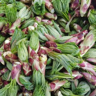 정상훈님의 기타작물 · 자유게시판 작성글 사진