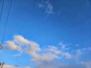 새달귤농장님의 자유주제 · 자유게시판 작성글 사진