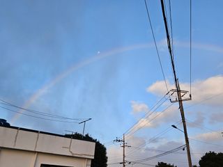 새달귤농장님의 자유주제 · 자유게시판 작성글 사진