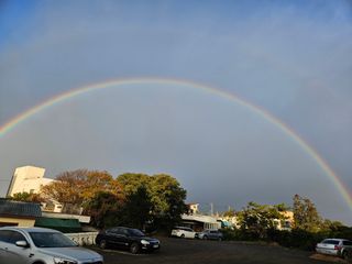 새달귤농장님의 자유주제 · 자유게시판 작성글 사진