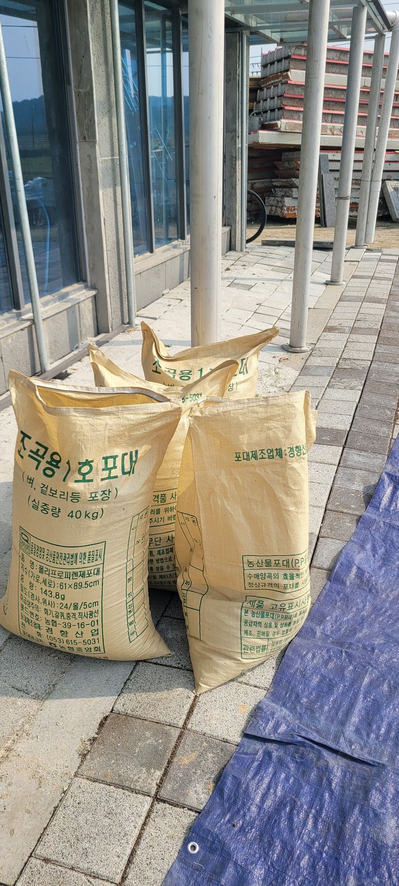 장터 상품 [2023년 햇 들깨 6키로 8만 택배비 5천  ] 썸네일